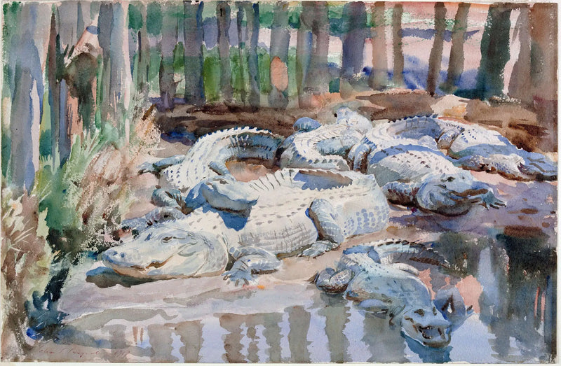 Alligators boueux - John Singer Sargent