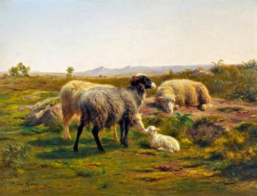 Moutons et agneau - Rosa Bonheur
