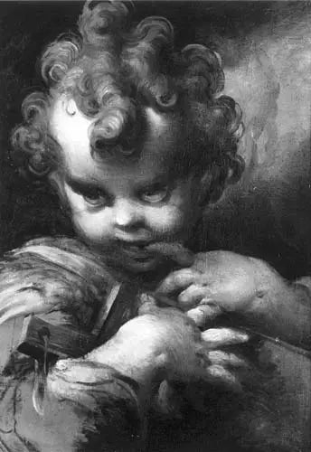 Enfant Saint Jean - Parmigianino - Alpha Reproduction