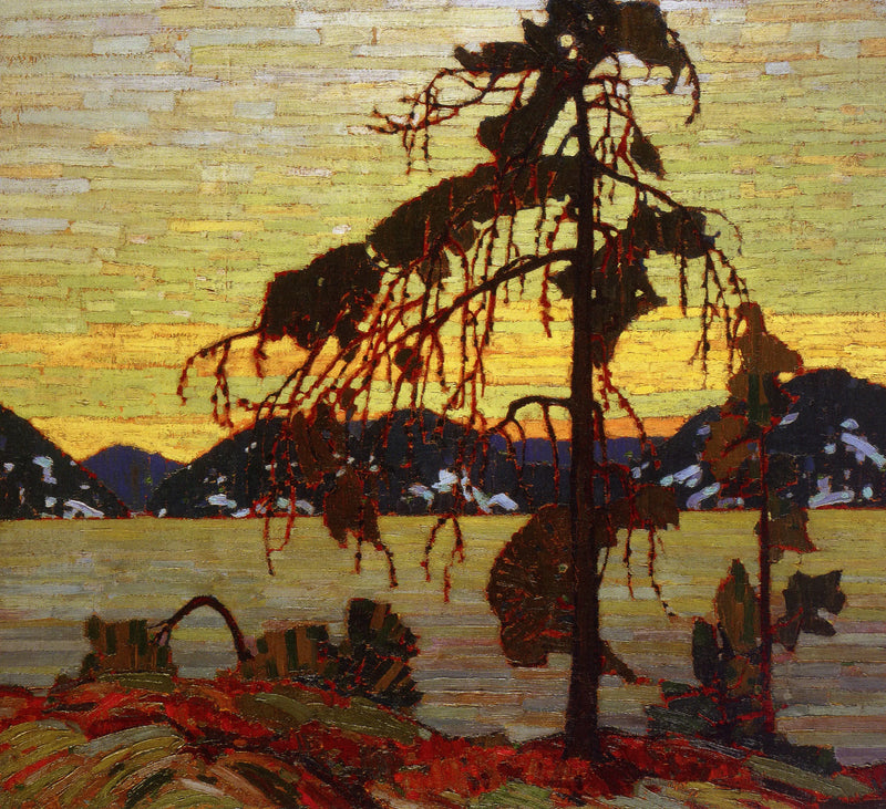 Le pin gris - Tom Thomson