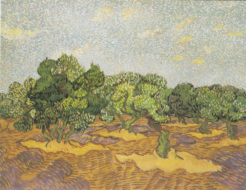 Oliviers - Vincent van Gogh