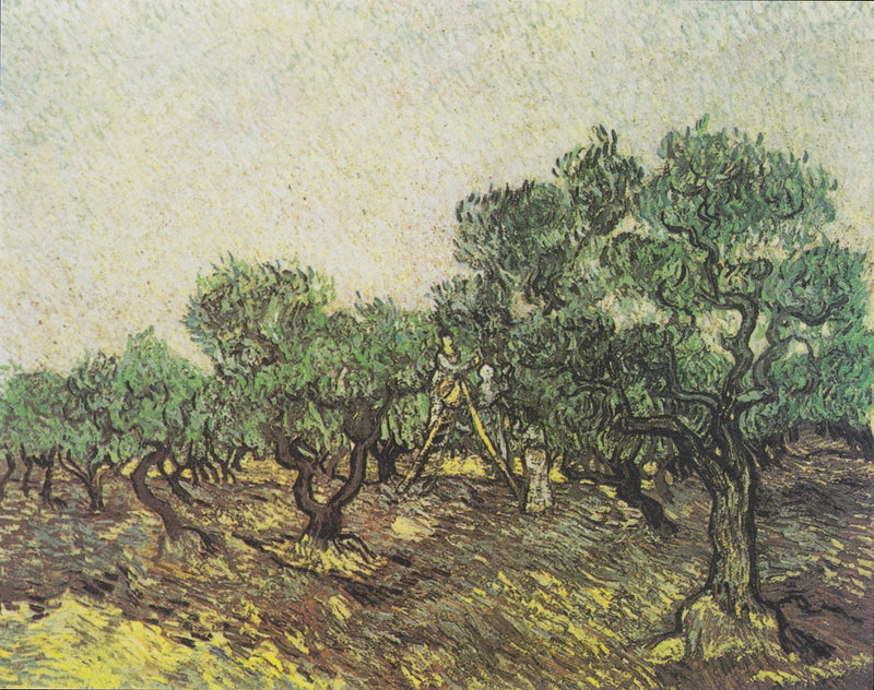 Cueillette des olives - Vincent van Gogh