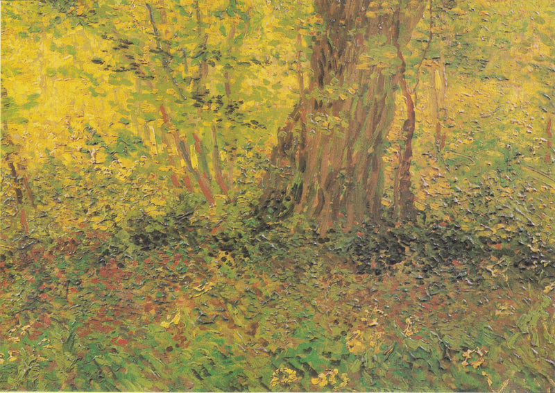 Sous-bois - Vincent van Gogh