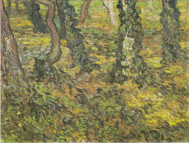 Troncs d'arbres avec lierre - Vincent van Gogh