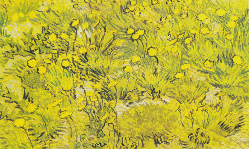 Prairie aux fleurs jaunes - Vincent van Gogh