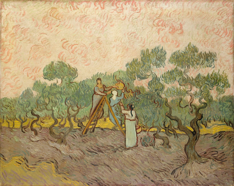 Femmes cueillant des olives - Vincent van Gogh