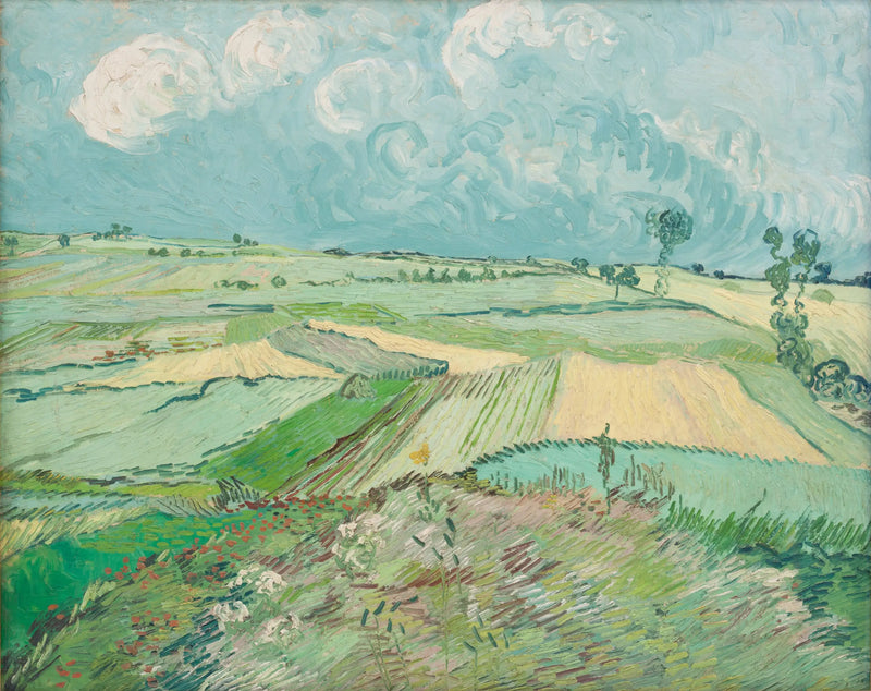 Champs de blé après la pluie - Vincent van Gogh