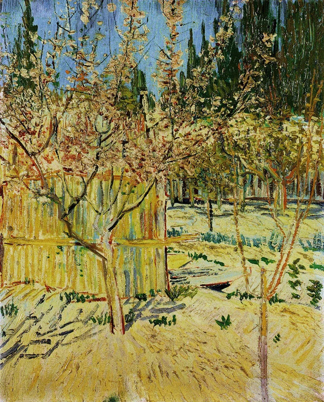 Abricotiers en fleurs, F399 – Vincent van Gogh