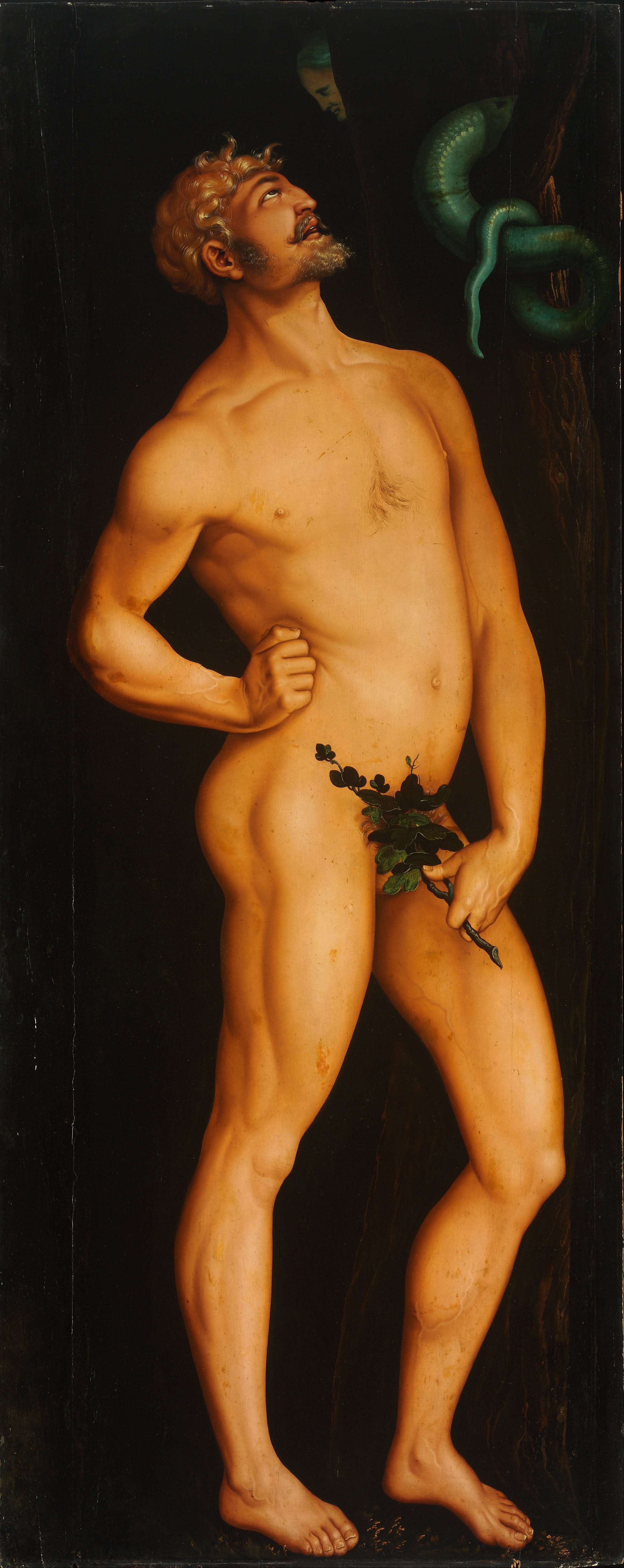 Adam - Hans Baldung Grien - Alpha Reproduction
