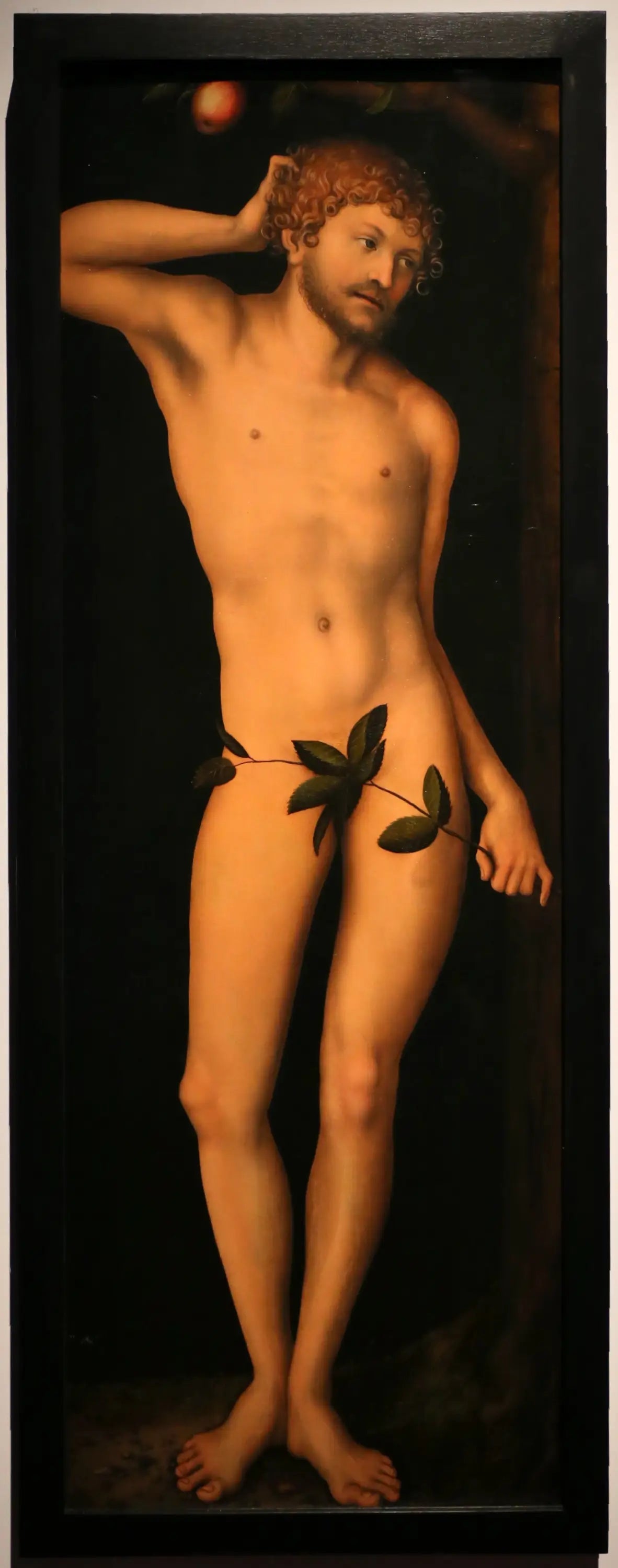 Adam - Lucas Cranach the Elder image 1 tableau peint à l’huile sur toile