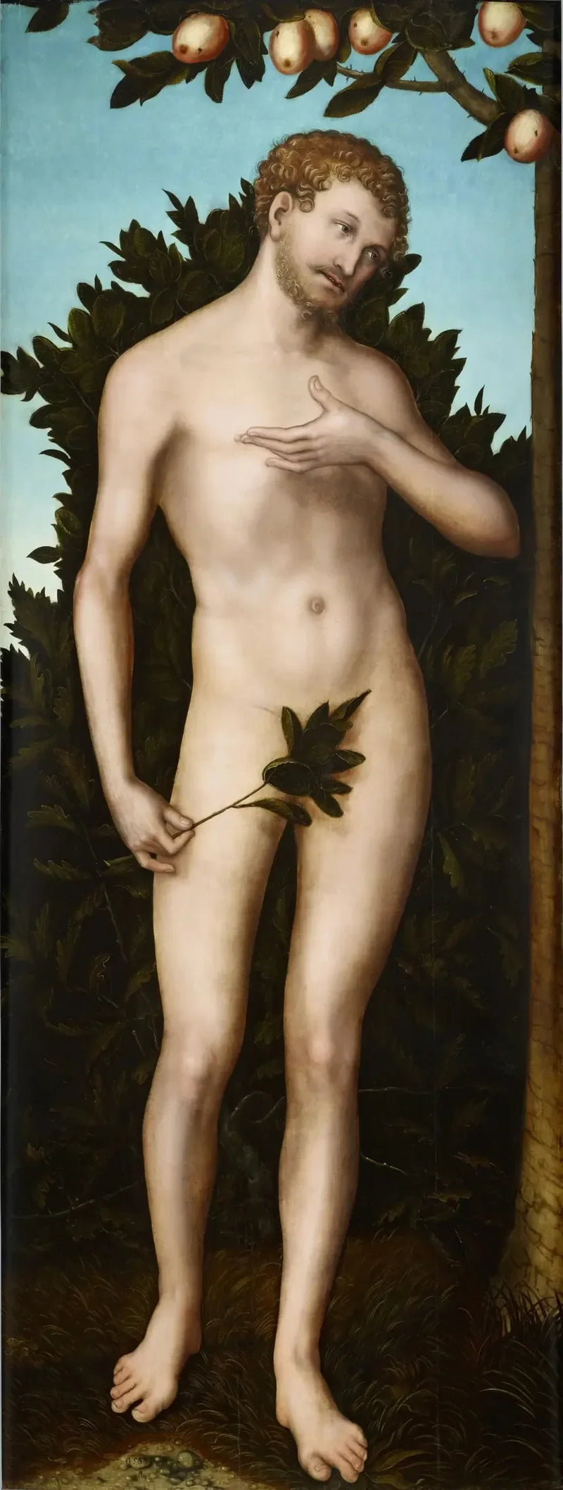 Adam - Lucas Cranach the Elder