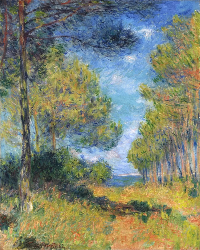 Allée de sapins à Varengeville - Claude Monet