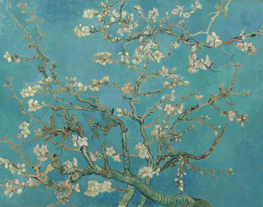Amandier en fleurs de Vincent van Gogh, 1890, Van Gogh Museum, Amsterdam
