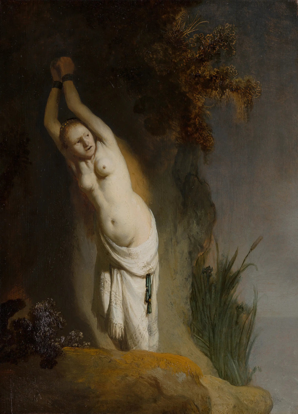 Andromède enchaînée - Rembrandt image 1 tableau peint à l’huile sur toile
