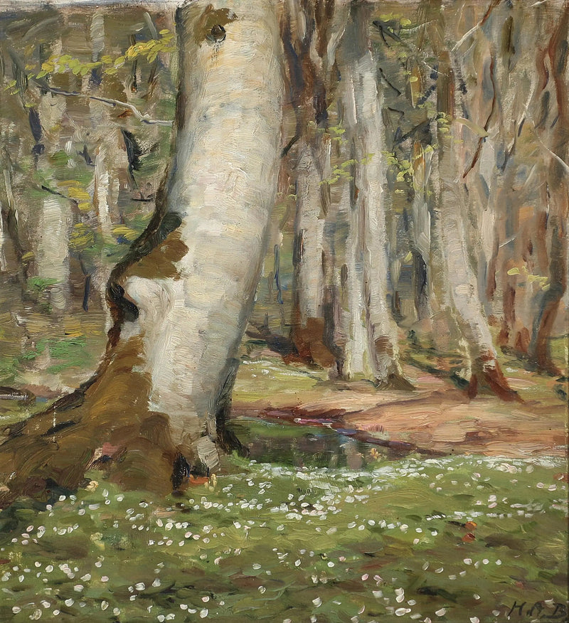 Anémones dans les bois au printemps. - H. A. Brendekilde