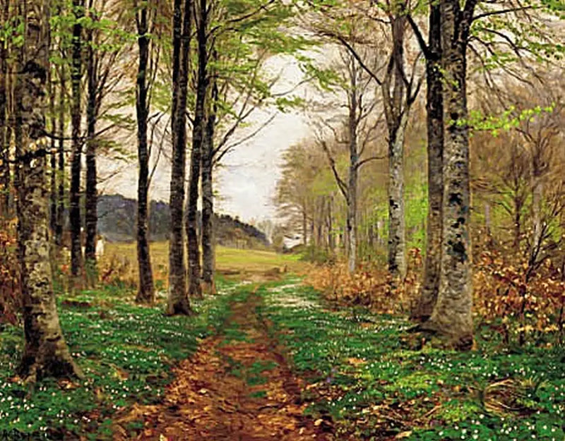 Anémones dans une forêt au printemps. - H. A. Brendekilde