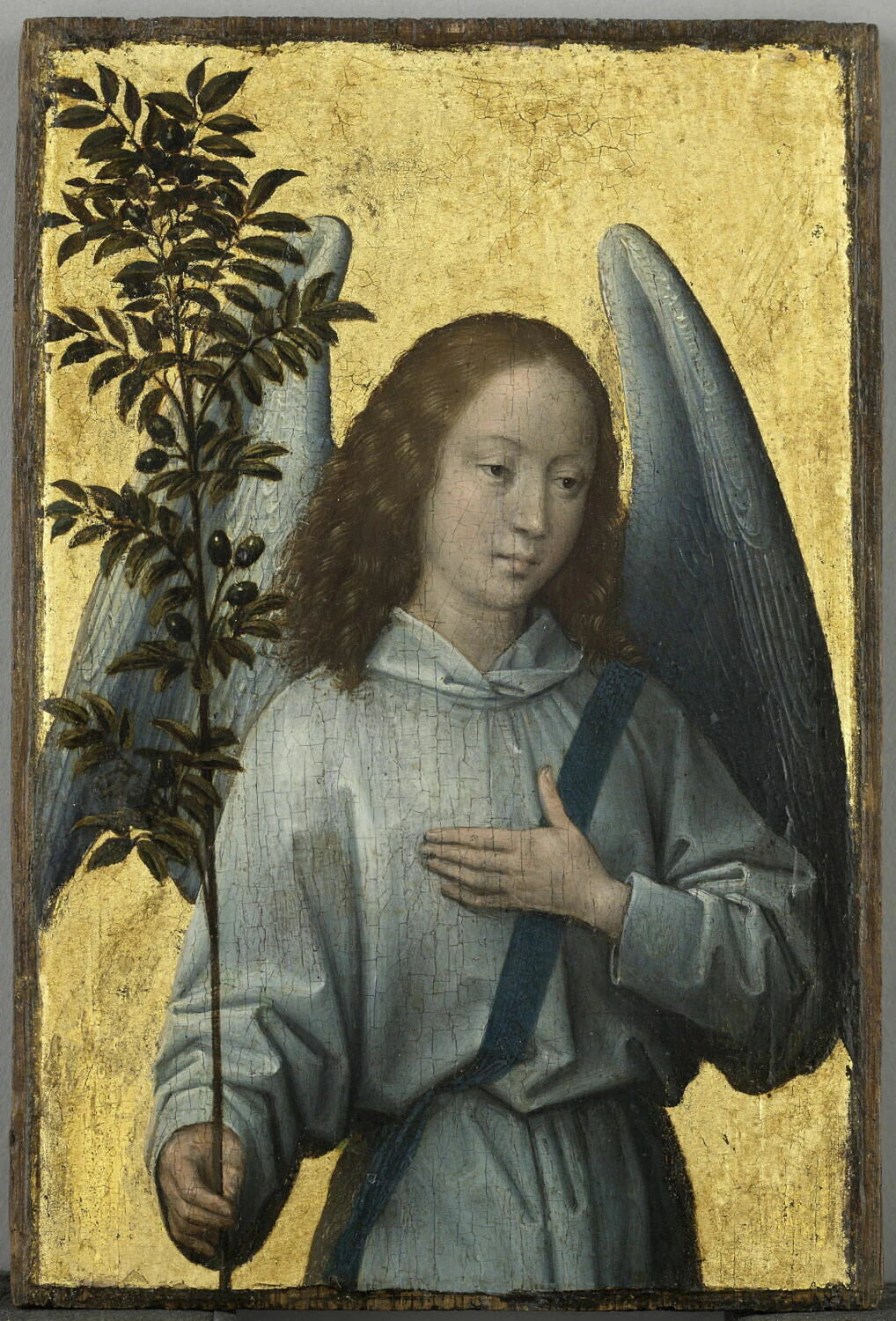 Ange tenant un rameau d olivier - Hans Memling