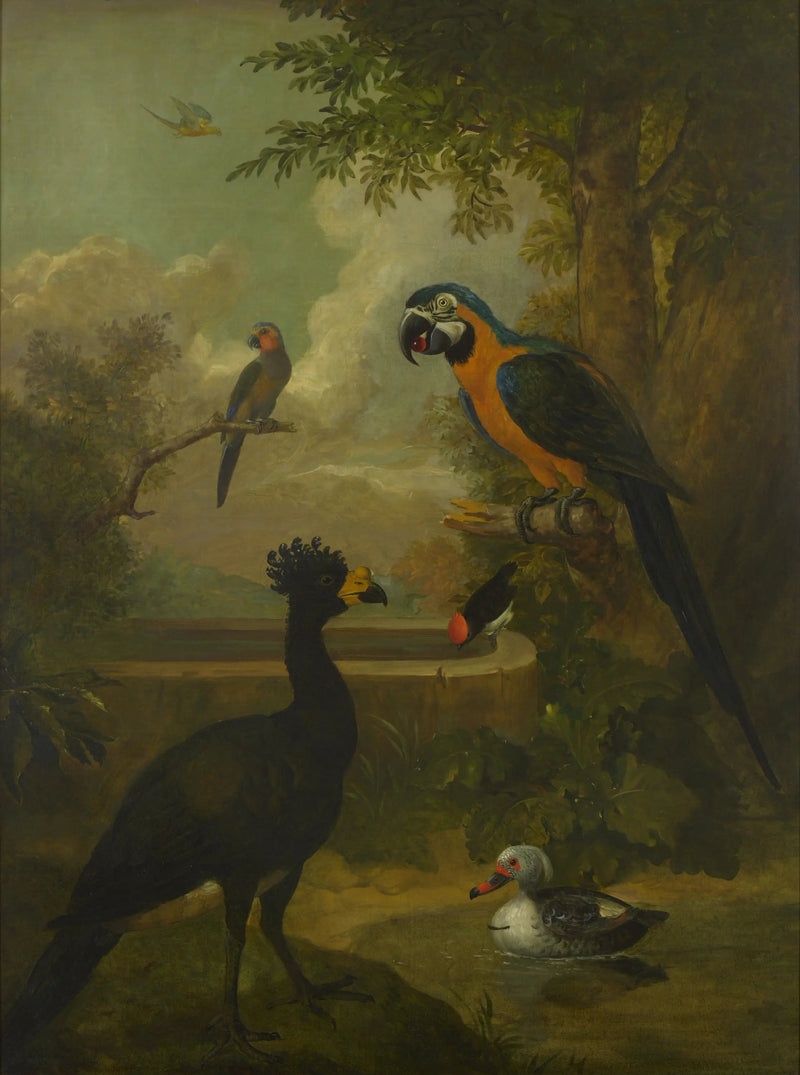 Ara et autres oiseaux dans un paysage - Tobias Stranover