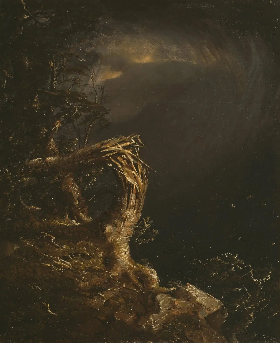 Arbre foudroyé - Jasper Francis Cropsey
