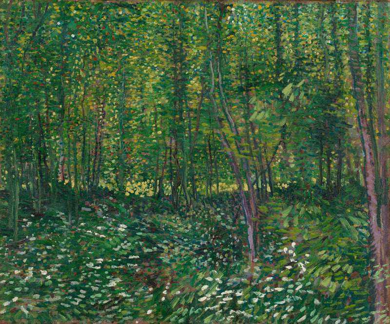 Arbres et sous-bois, F309a – Vincent van Gogh