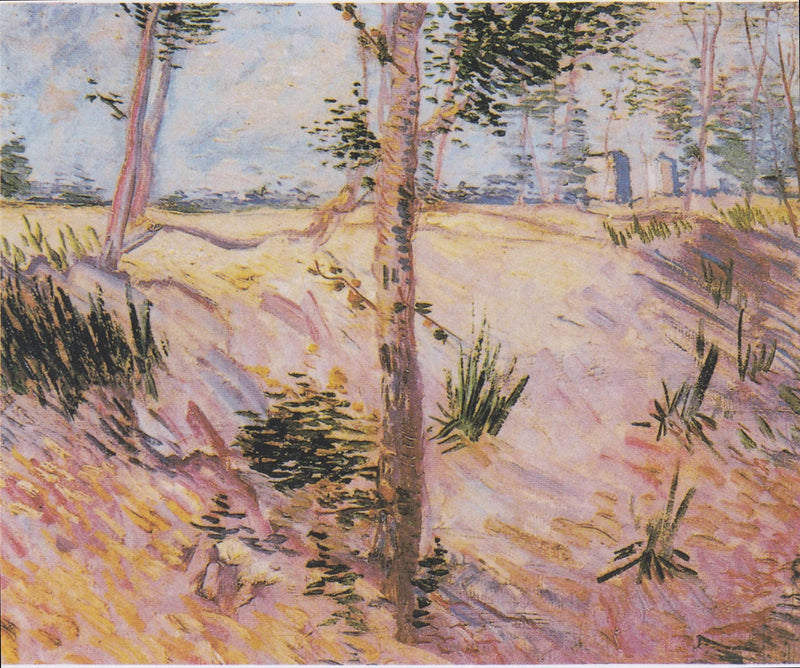 Arbres sur une pente - Vincent van Gogh