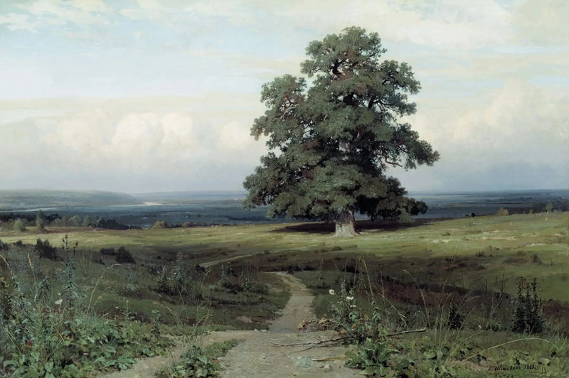 Au milieu de la vallée… - Ivan Chichkine