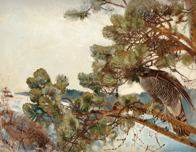 Autour des palombes - Bruno Liljefors