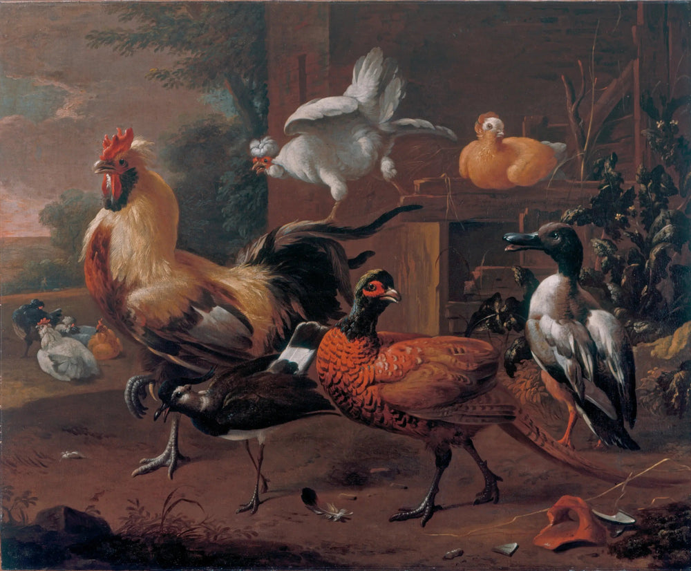 basse-cour - Melchior de Hondecoeter - Alpha Reproduction