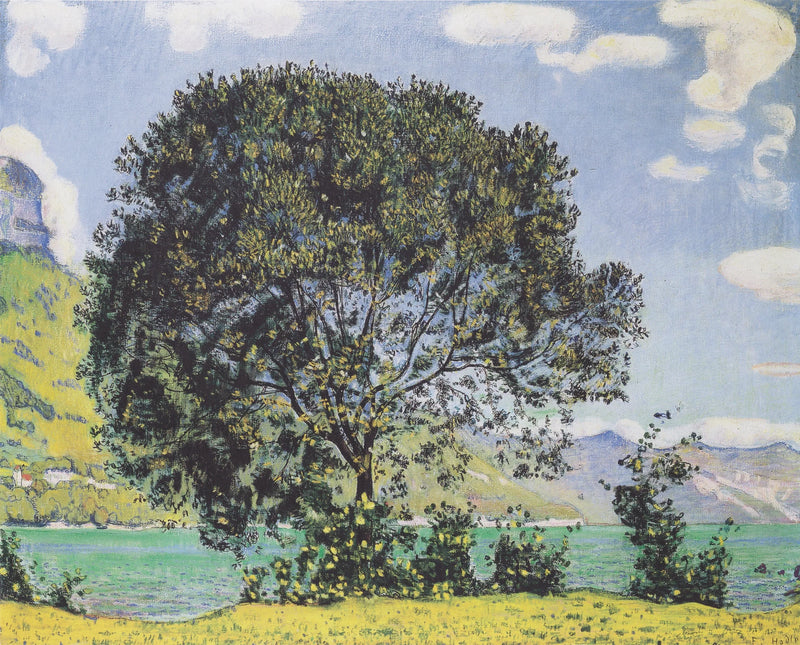 Baum am Brienzersee vom Bödeli aus - Ferdinand Hodler