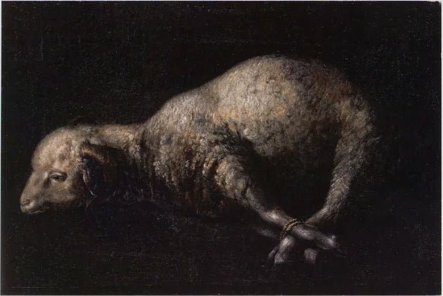 Bélier aux pieds attachés - Francisco de Zurbarán