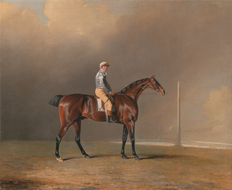 Diamond with Dennis Fitzpatrick Up - Benjamin Marshall