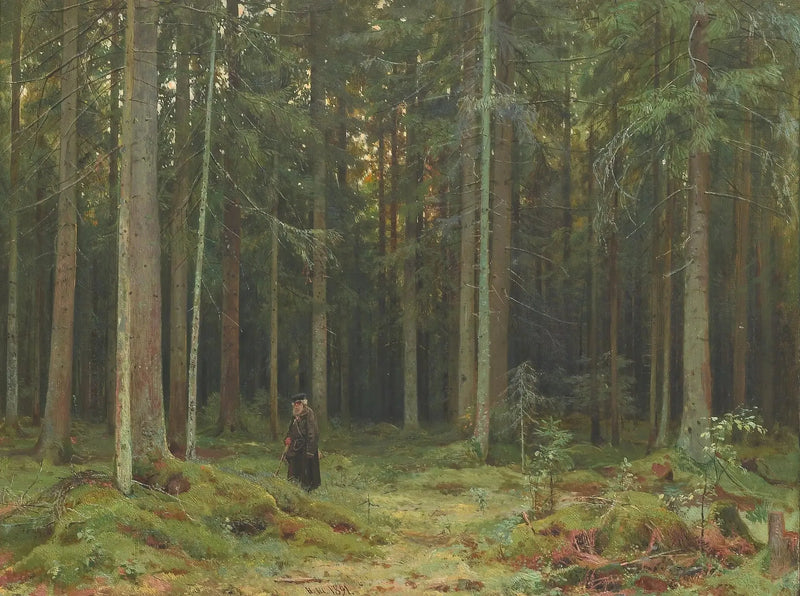 Bois de la comtesse Mordvinova. Peterhof - Ivan Chichkine