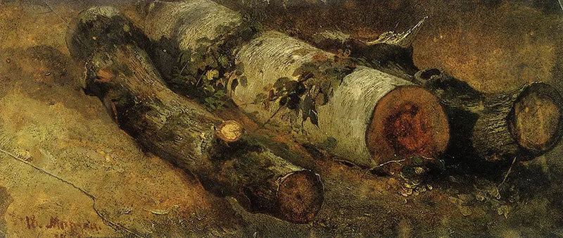 Bouleaux abattus - Ivan Chichkine