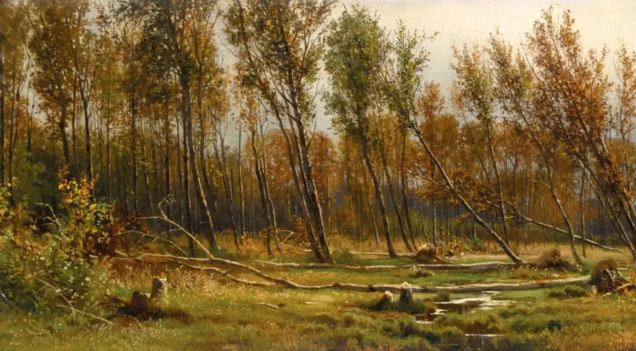 Bouleaux après la tempête - Ivan Chichkine