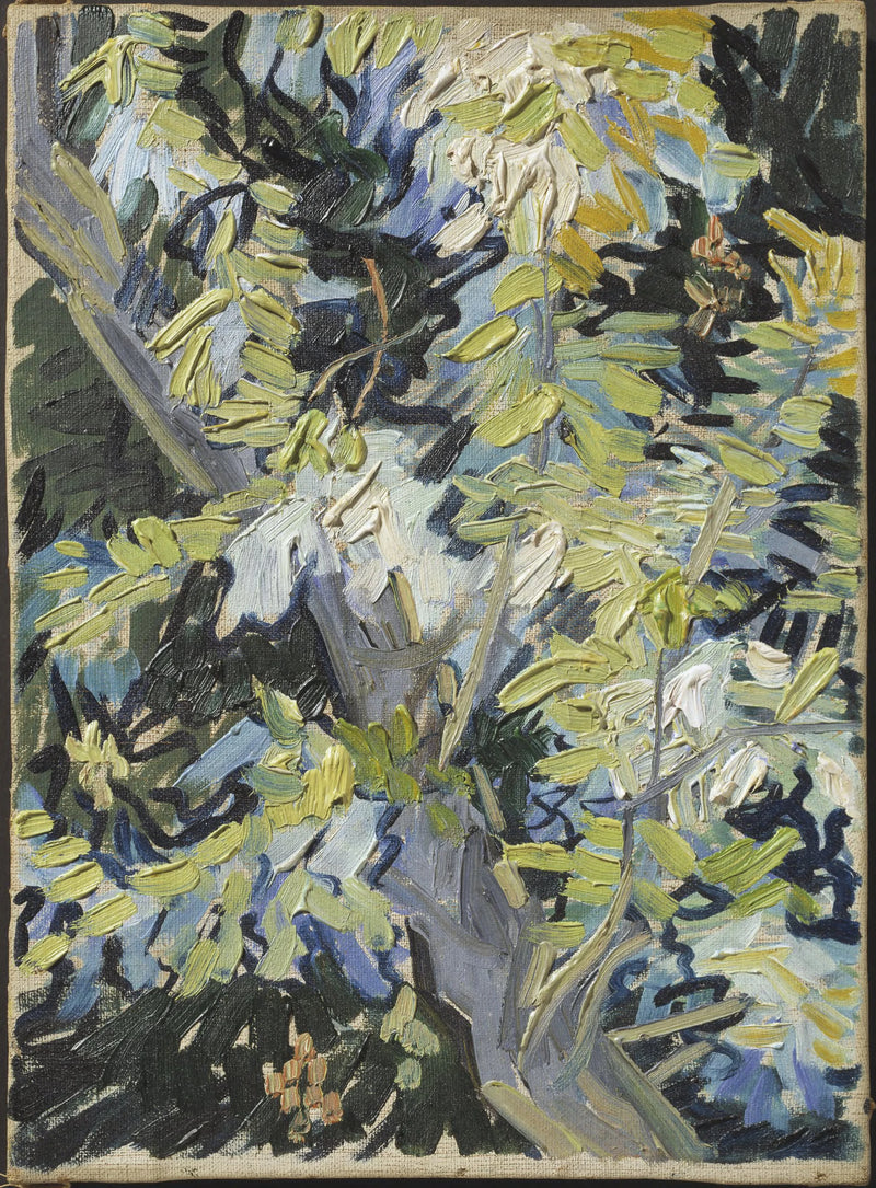 Branches d’acacia en fleurs – Vincent van Gogh