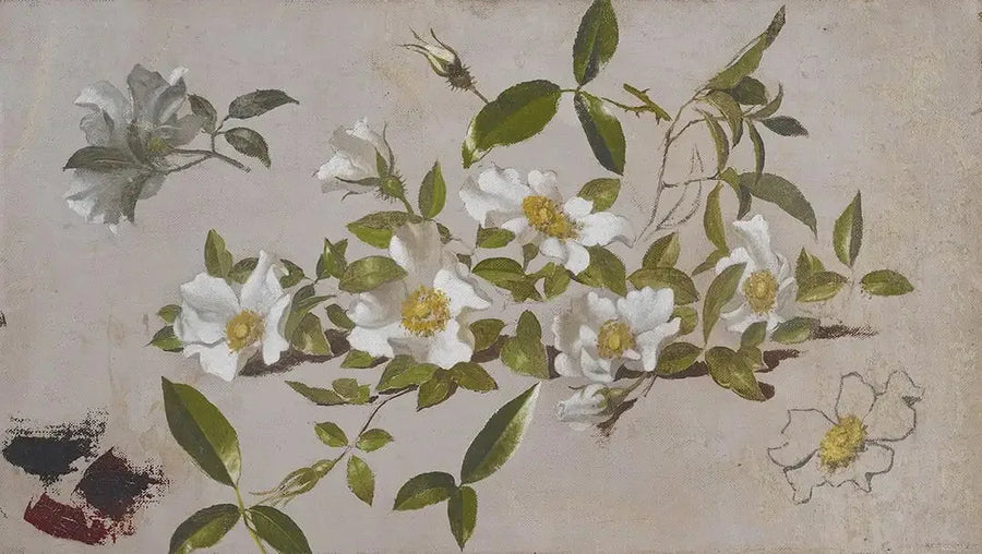 Branches de roses Cherokee - Martin Johnson Heade