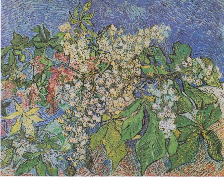 Branches de marronnier en fleurs – Vincent van Gogh