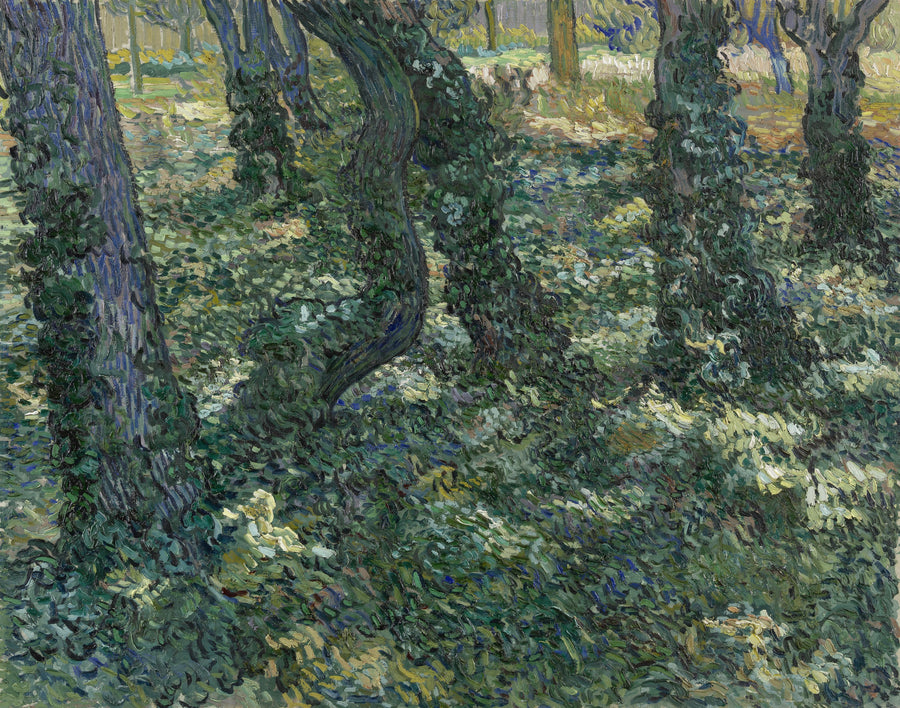 Broussailles, F746 – Vincent van Gogh