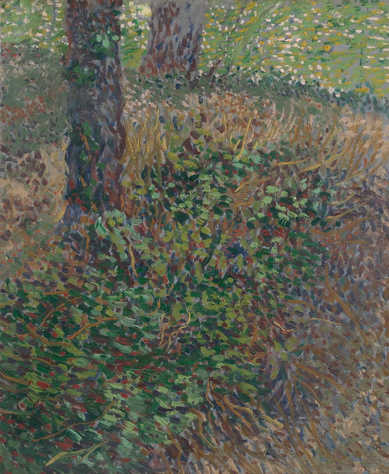 Broussailles - Vincent van Gogh