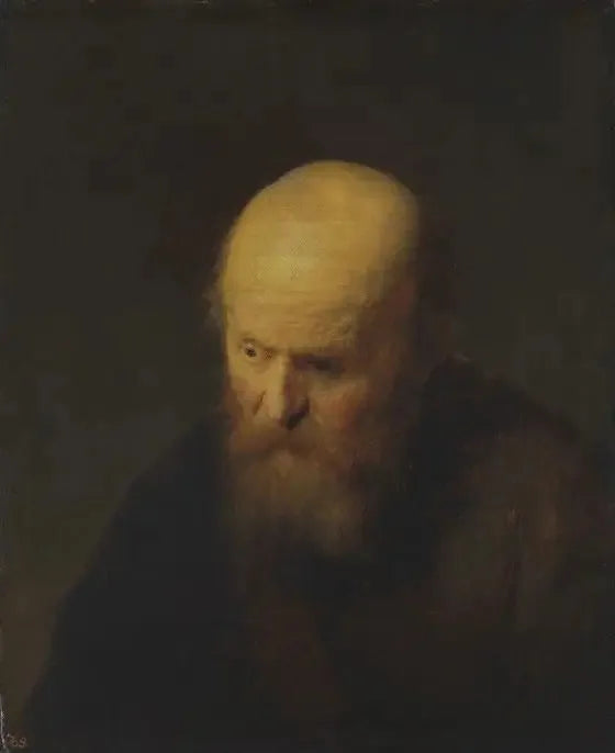 Buste d'un vieil homme à la tête chauve - Rembrandt