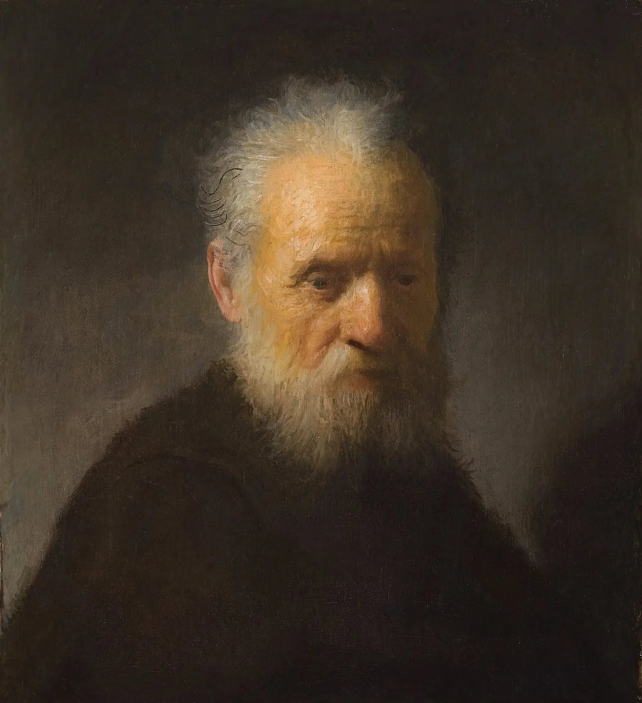 Buste d'un vieil homme barbu - Rembrandt