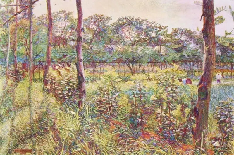 Campagne lombarde - Umberto Boccioni