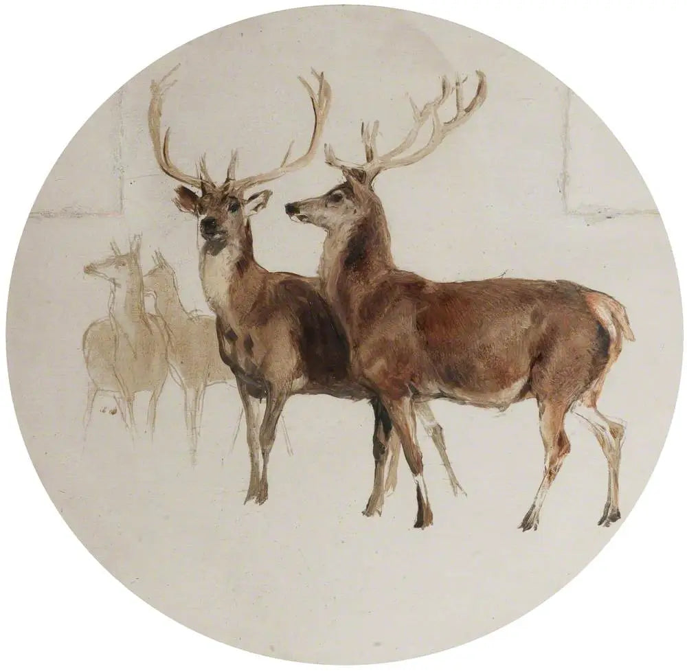 Cerf dans un paysage (Études sur les cerfs) - Edwin Henry Landseer - Alpha Reproduction