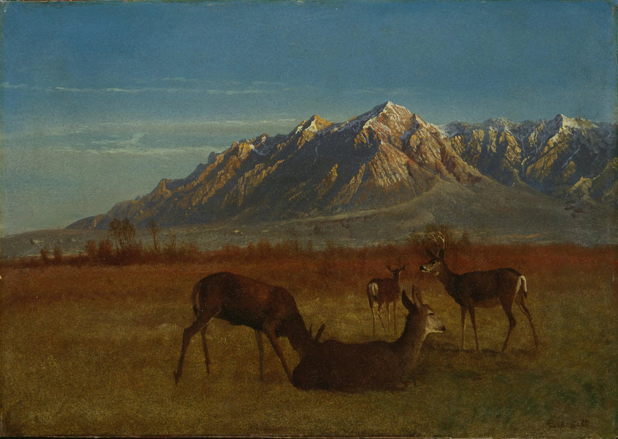 Cerf dans une maison de montagne - Albert Bierstadt