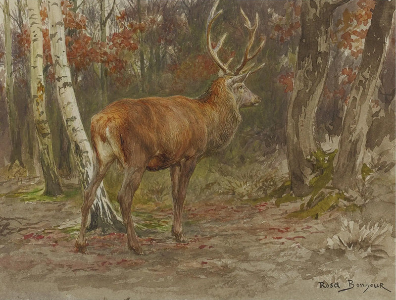 Cerf vigilant - Rosa Bonheur