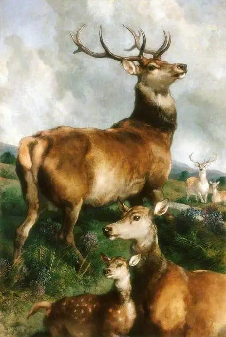 Cerfs du parc de Chillingham Northumberland - Edwin Henry Landseer - Alpha Reproduction