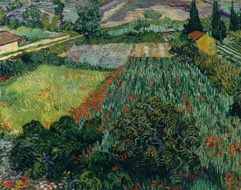 Champ aux coquelicots, F581 – Vincent van Gogh