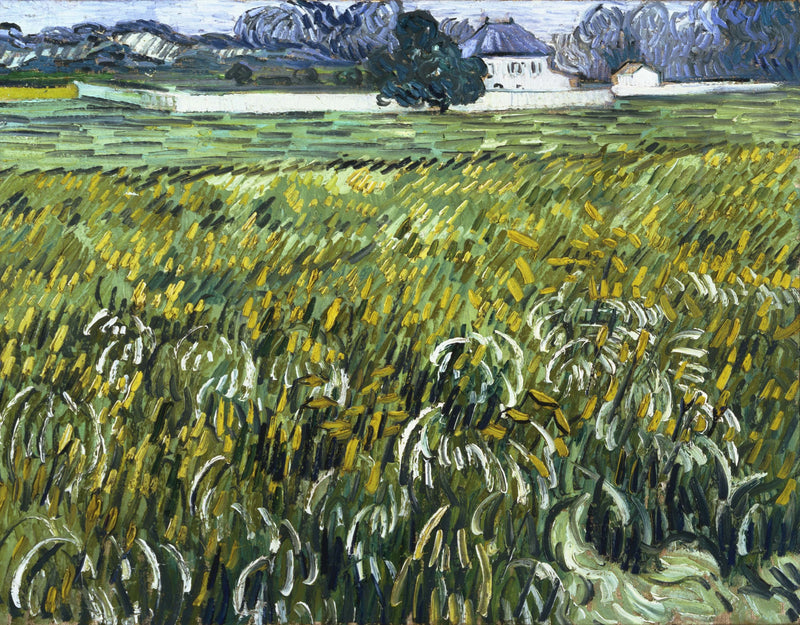 Champ de blé à Auvers avec maison – Vincent van Gogh
