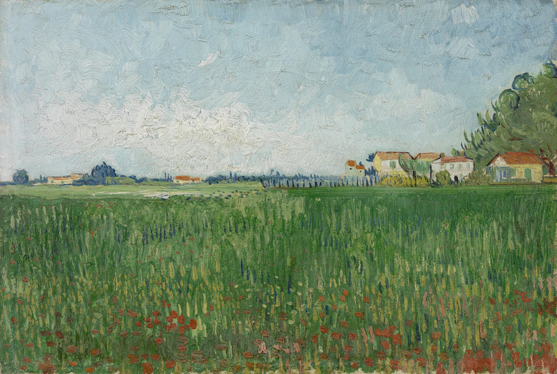 Champ de coquelicots, F576 – Vincent van Gogh