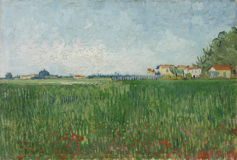 Champ de coquelicots, F576 – Vincent van Gogh